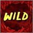 wild-Zombies-netent